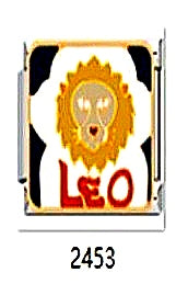 צארם כסף ציור למזל "leo"