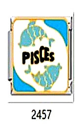 צארם כסף ציור למזל ״pisces״